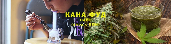 прущие грибы Новозыбков