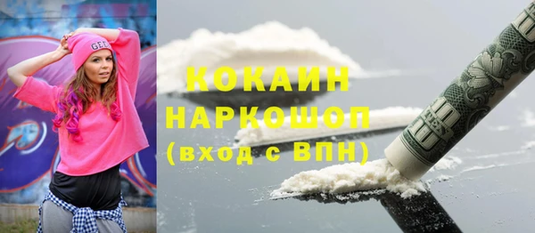 прущие грибы Новозыбков
