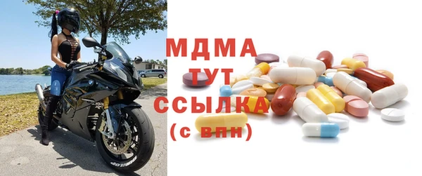 прущие грибы Новозыбков