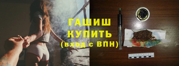 прущие грибы Новозыбков