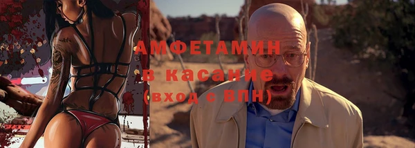 прущие грибы Новозыбков