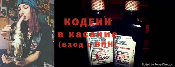 прущие грибы Новозыбков