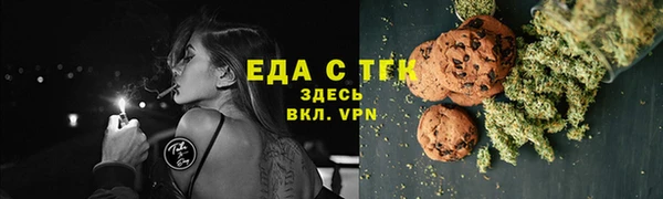 прущие грибы Новозыбков