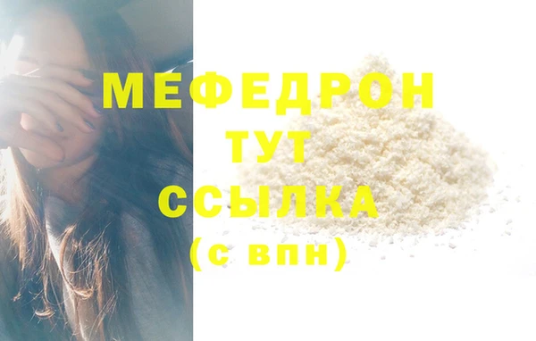 прущие грибы Новозыбков