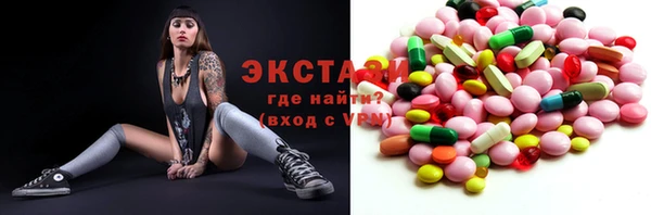 прущие грибы Новозыбков
