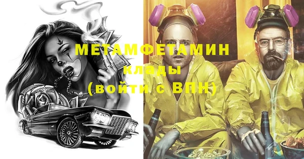 прущие грибы Новозыбков