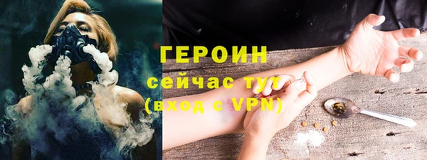 прущие грибы Новозыбков