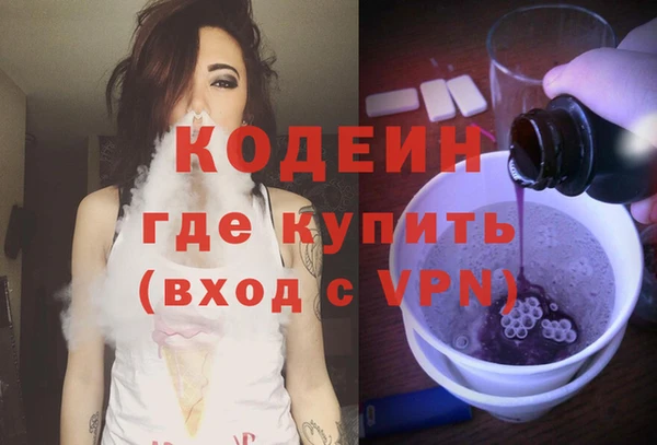 прущие грибы Новозыбков